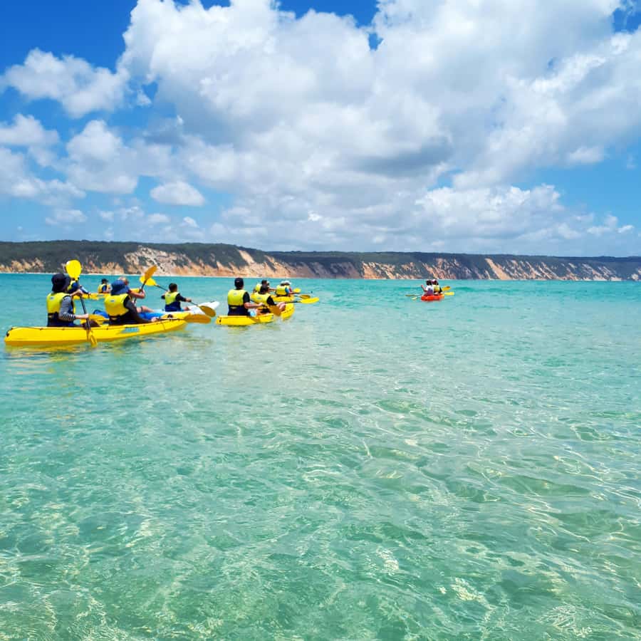 Dolphin Kayak Tour & Beach 4X4 National Park Tour (Private) - Who should book this Double Island Point adventure?