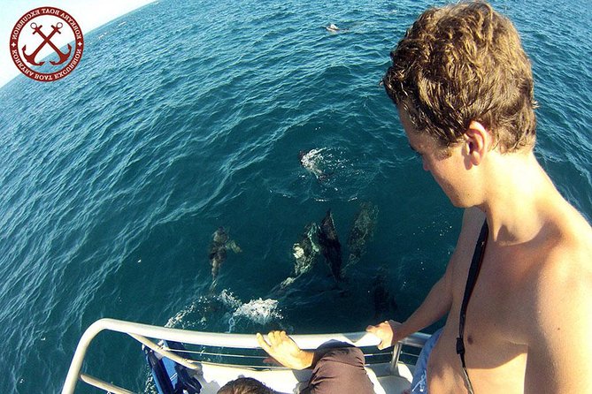 Dolphins Watching in the National Park Brijuni from Pula - Setting out from Pula at 5:30 pm