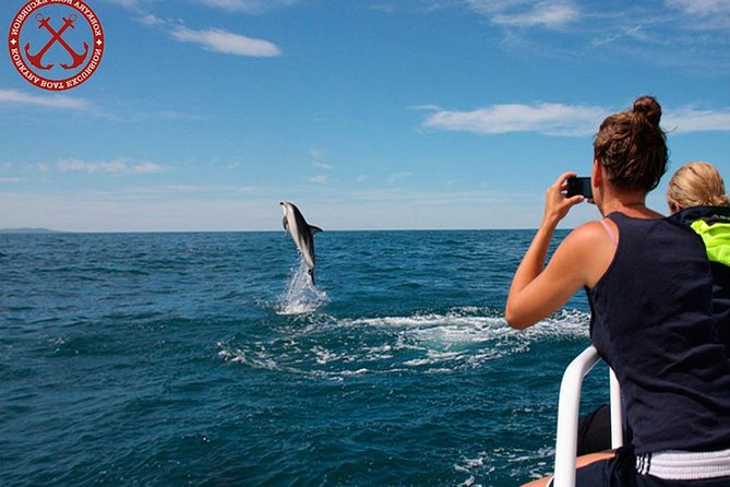 Dolphins Watching in the National Park Brijuni from Pula - Brijuni National Park from the water