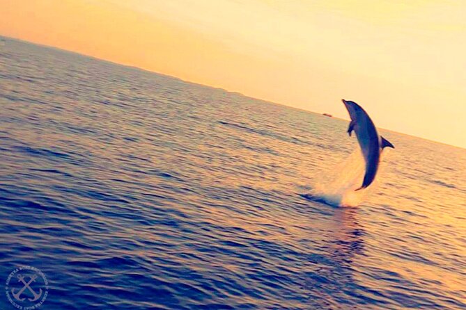 Dolphins Watching in the National Park Brijuni from Pula - The sunset is the reliable highlight