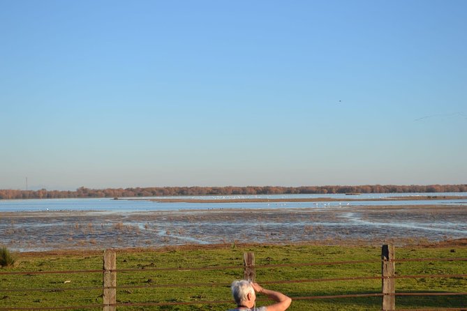Donana National Park and El Rocío: Guided Tour from Seville - El Rocío, horses, and the chapel