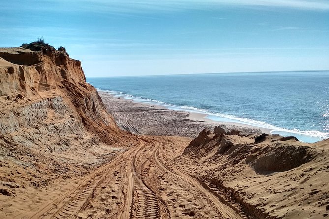 Donana National Park and El Rocío: Guided Tour from Seville - Matalascañas and Doñana’s great dunes