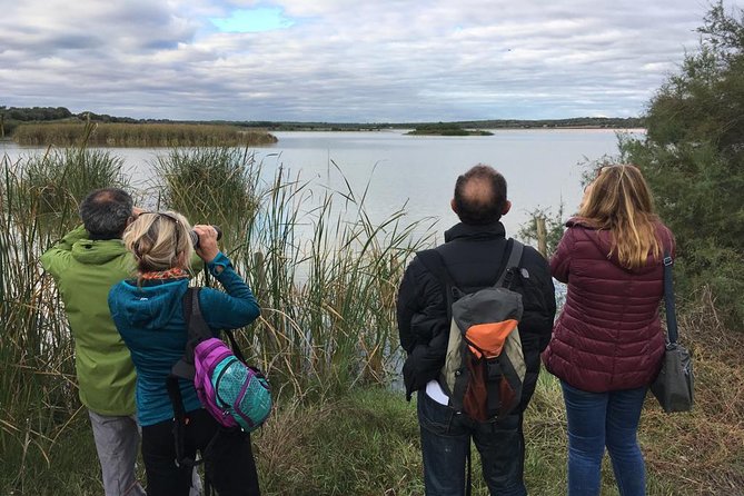 Donana National Park and El Rocío: Guided Tour from Seville - Guides, language, and group size