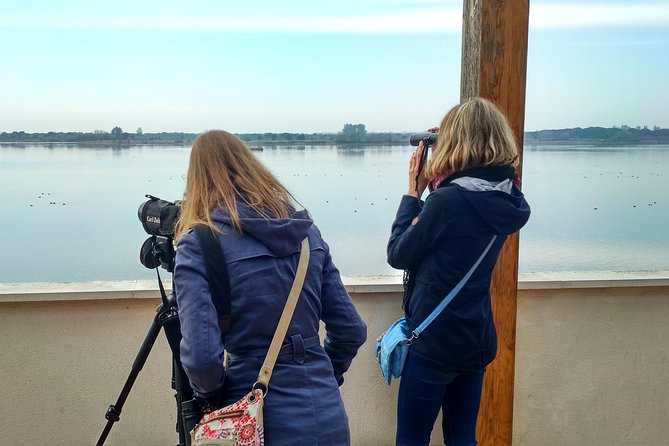 Donana National Park and El Rocío: Guided Tour from Seville - Rice fields and the white stork colony