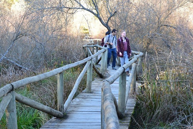 Donana National Park: Guided Day Tour from Seville - Three hours among marshes, woods, and dunes