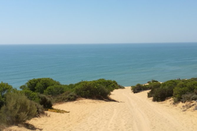 Donana National Park: Guided Day Tour from Seville - What the vehicle ride is really like