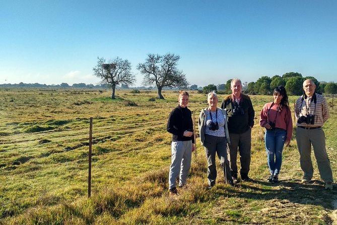 Donana National Park: Guided Day Tour from Seville - The guides make the biggest difference