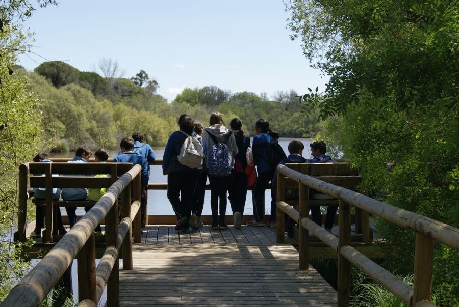 Doñana National Park Off-Road Tour from Seville - Why Doñana makes a worthwhile day from Seville