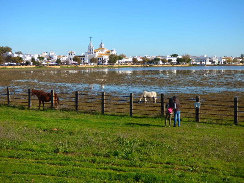 Doñana National Park Off-Road Tour from Seville - The long ride from Seville to El Rocío
