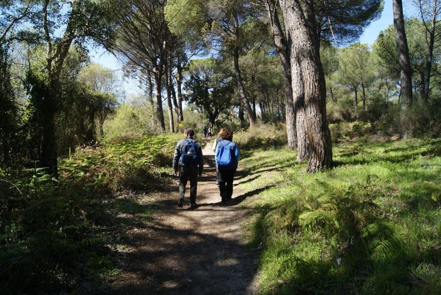 Doñana National Park Off-Road Tour from Seville - Inside the reserve by 4WD
