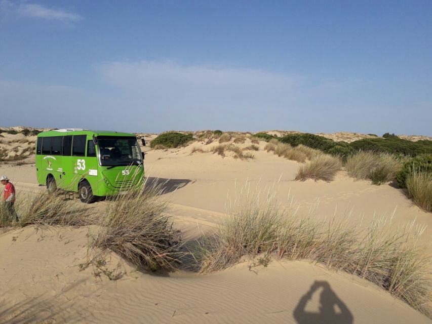 Doñana National Park Off-Road Tour from Seville - Group size, language, and guide quality