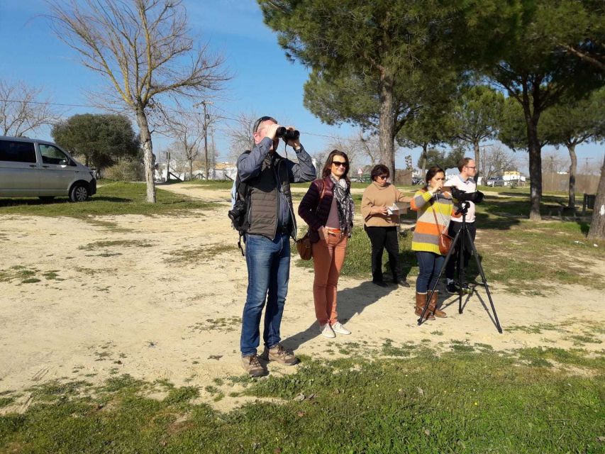 Doñana National Park Off-Road Tour from Seville - Practical advice for making the day work