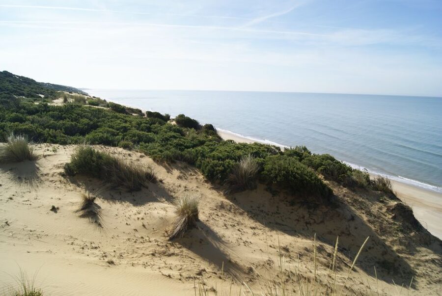 Doñana National Park Off-Road Tour from Seville - El Rocío, a pilgrimage town with a Western-film look
