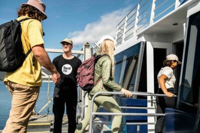 Doubtful Sound Wilderness Cruise from Queenstown