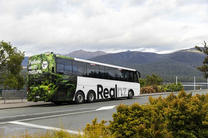 Doubtful Sound Wilderness Cruise from Queenstown - Is $287.95 good value?