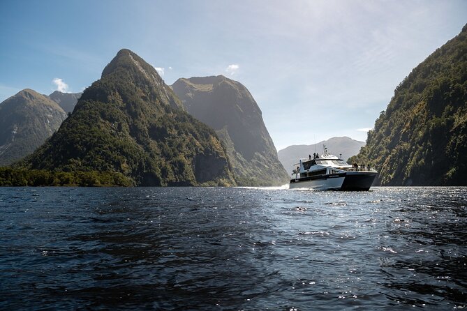 Doubtful Sound Wilderness Cruise from Te Anau - Rain is not a bad-weather guarantee