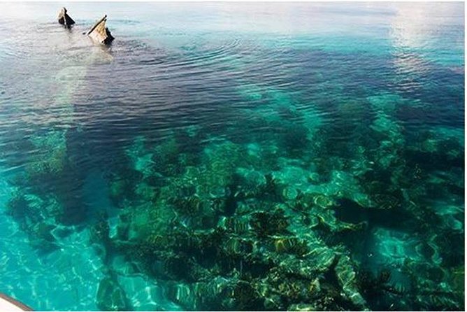 Dry Tortugas National Park Day Trip by Catamaran from Key West - Key points to know before you book