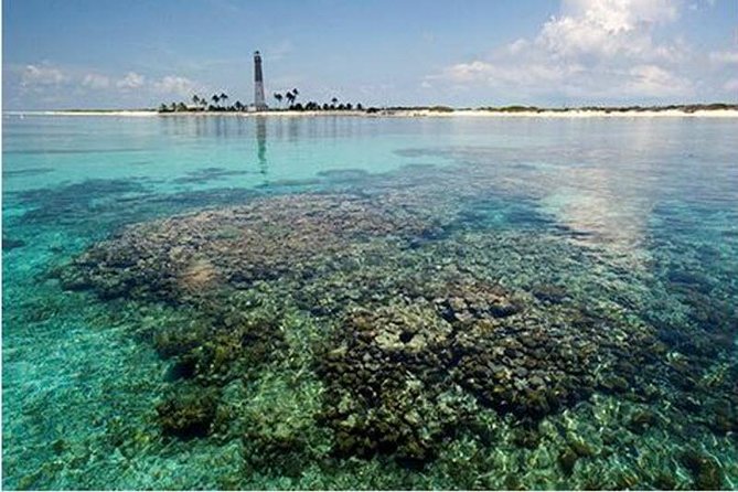 Dry Tortugas National Park Day Trip by Catamaran from Key West - Is the $220 price fair?