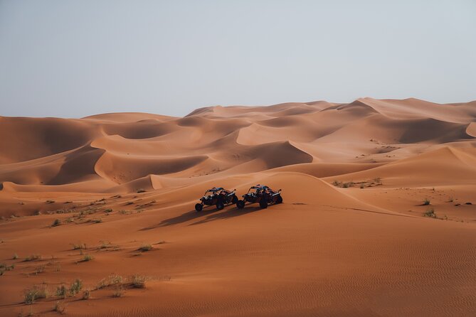 Dune Buggy Experience & Fossil Discovery in Mleiha National Park - Why Mleiha makes a good desert outing