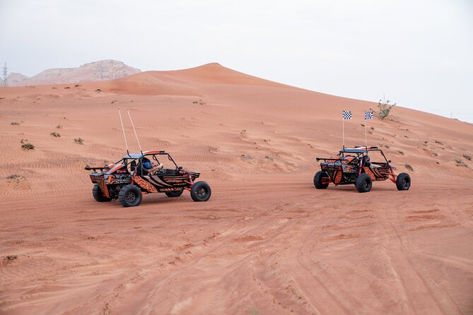 Dune Buggy Experience & Fossil Discovery in Mleiha National Park - Zerzura adds a quieter finish