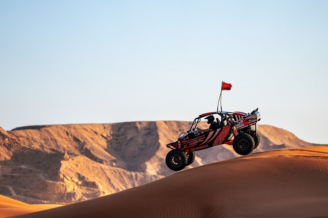 Dune Buggy Experience & Fossil Discovery in Mleiha National Park - What the private format really means