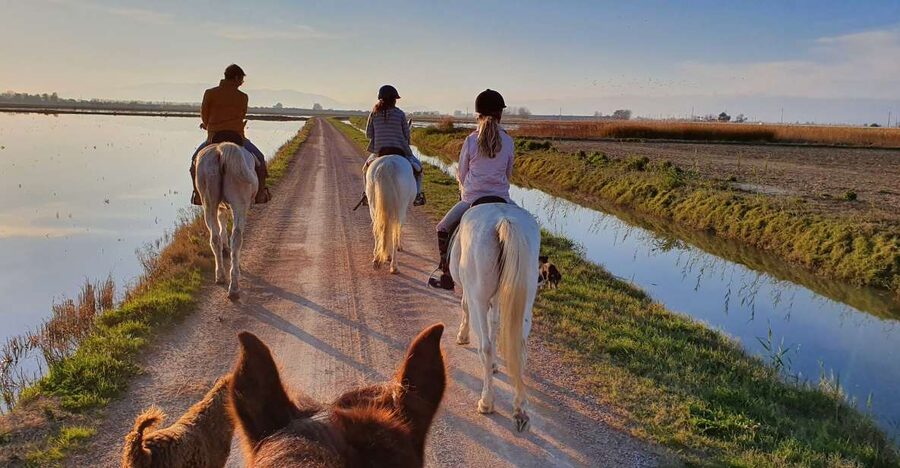 Ebro Delta National Park: Guided Horseback Riding Tour - Riding out from Riumar’s blue-flagged beach base