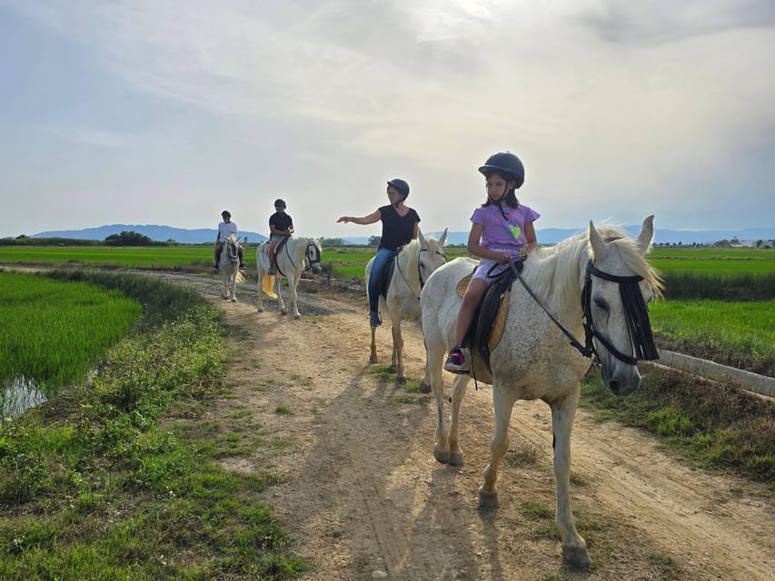Ebro Delta National Park: Guided Horseback Riding Tour - The Jeep transfer adds a useful change of scene