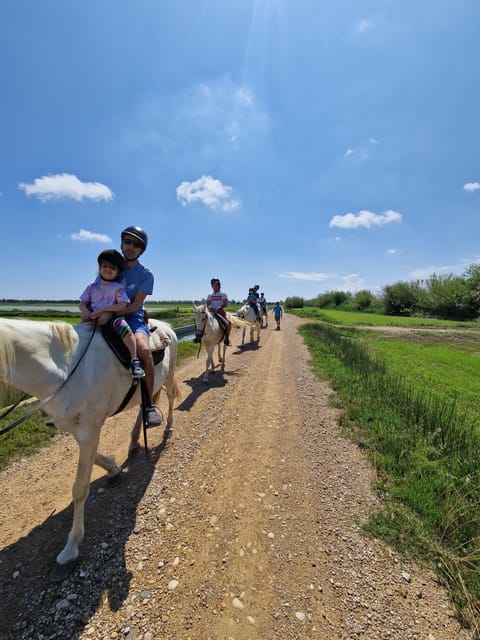 Ebro Delta National Park: Guided Horseback Riding Tour - Rice cultivation gives the scenery its meaning