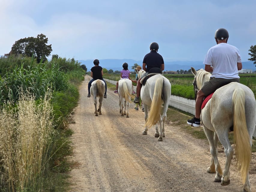 Ebro Delta National Park: Guided Horseback Riding Tour - Is $43 good value for this horseback tour?