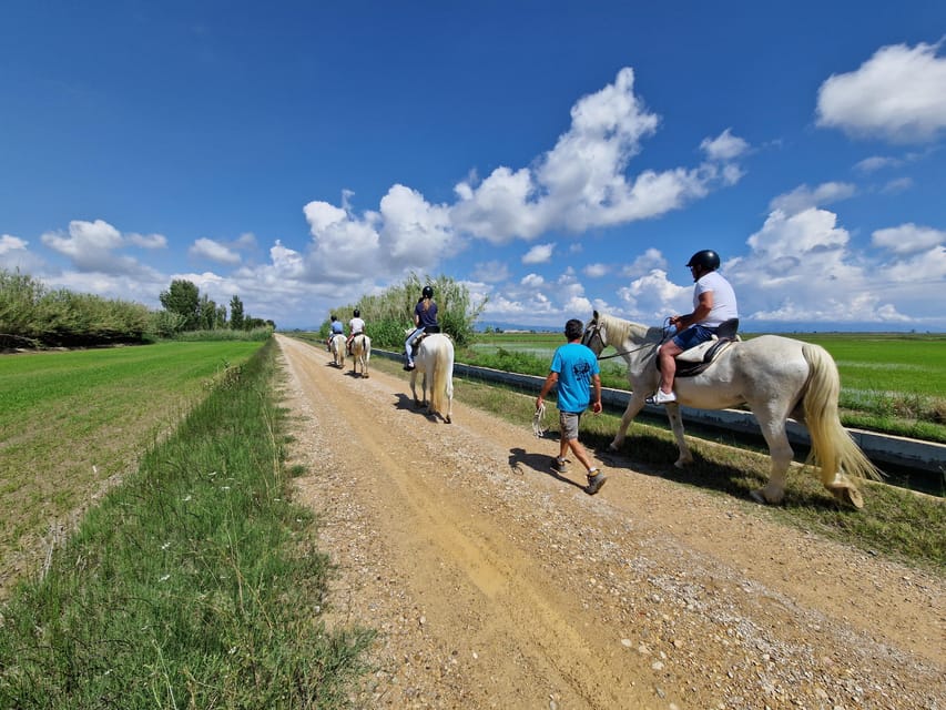Ebro Delta National Park: Guided Horseback Riding Tour - Who will enjoy this ride most?