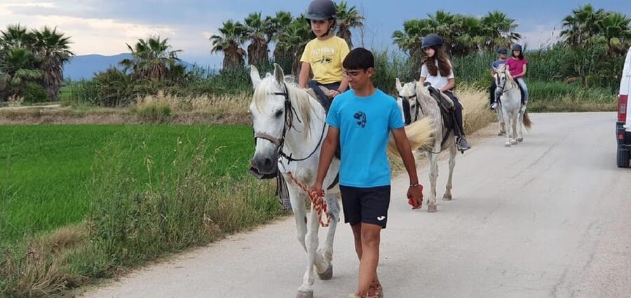Ebro Delta National Park: Guided Horseback Riding Tour - Practical details before you reserve