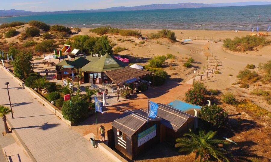 Ebro Delta National Park: Scenic Drive and Kayaking Tour - A compact introduction to the Ebro Delta