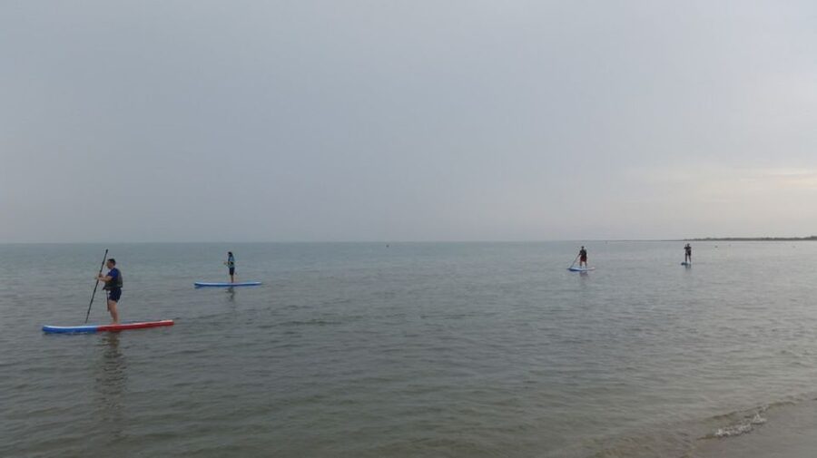Ebro Delta National Park: Scenic Drive and Kayaking Tour - What the 40-minute Jeep ride really offers
