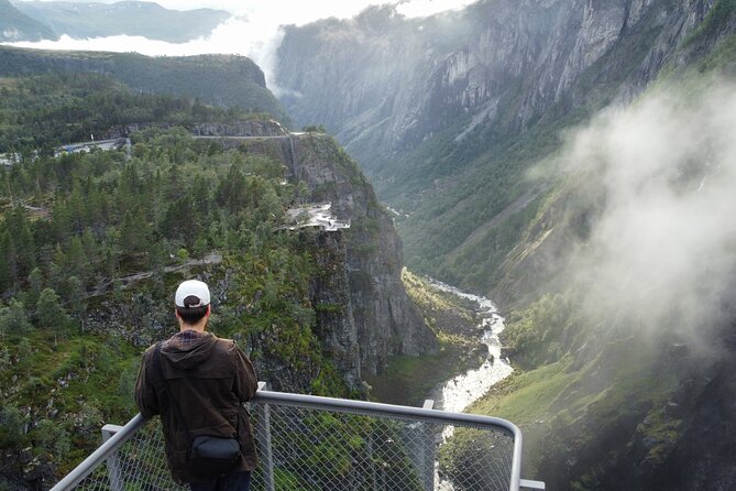 Eidfjord Guided tour Vøringfossen Waterfall & National Park - Why this short mountain tour works so well