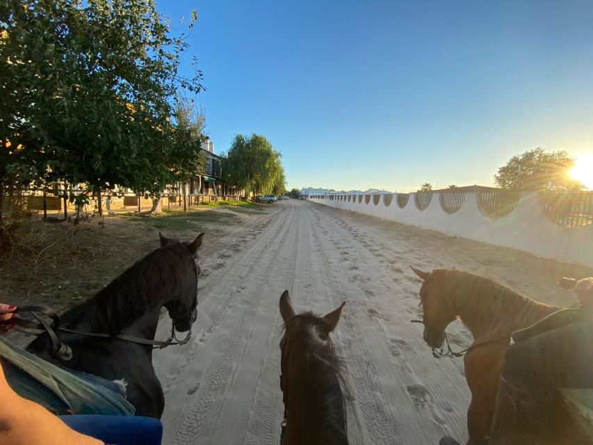 El Rocío: Doñana National Park Horseback Riding Tour - El Rocío, where streets belong to horses