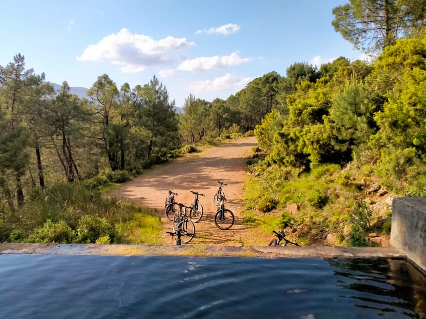 Electric mountain bike in Sierra de las Nieves national park - Starting in Tolox, the quiet heart of the park