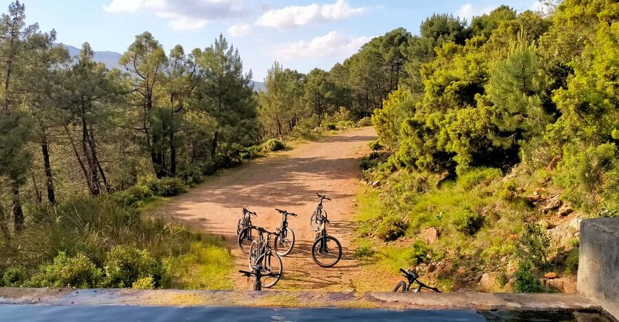 Electric mountain bike in Sierra de las Nieves national park - Searching for the pinsapo
