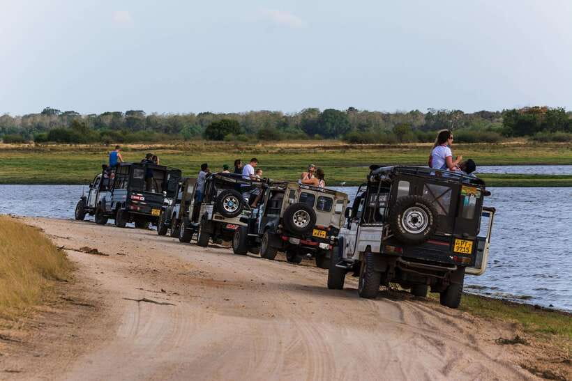 Elephant Jeep Safari at Minneriya National Park - What the four-hour schedule really looks like
