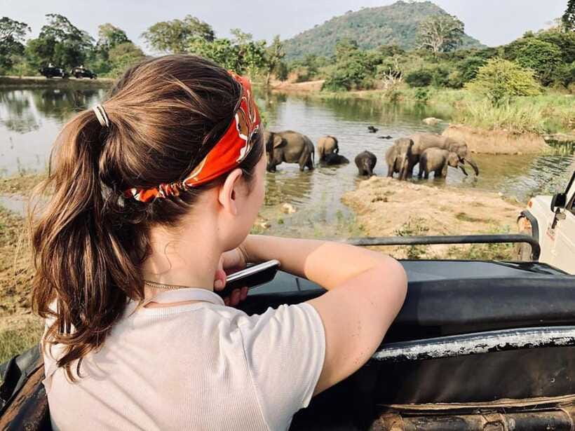 Elephant Kingdom Safari – Minneriya National Park - The real value of $22 per person