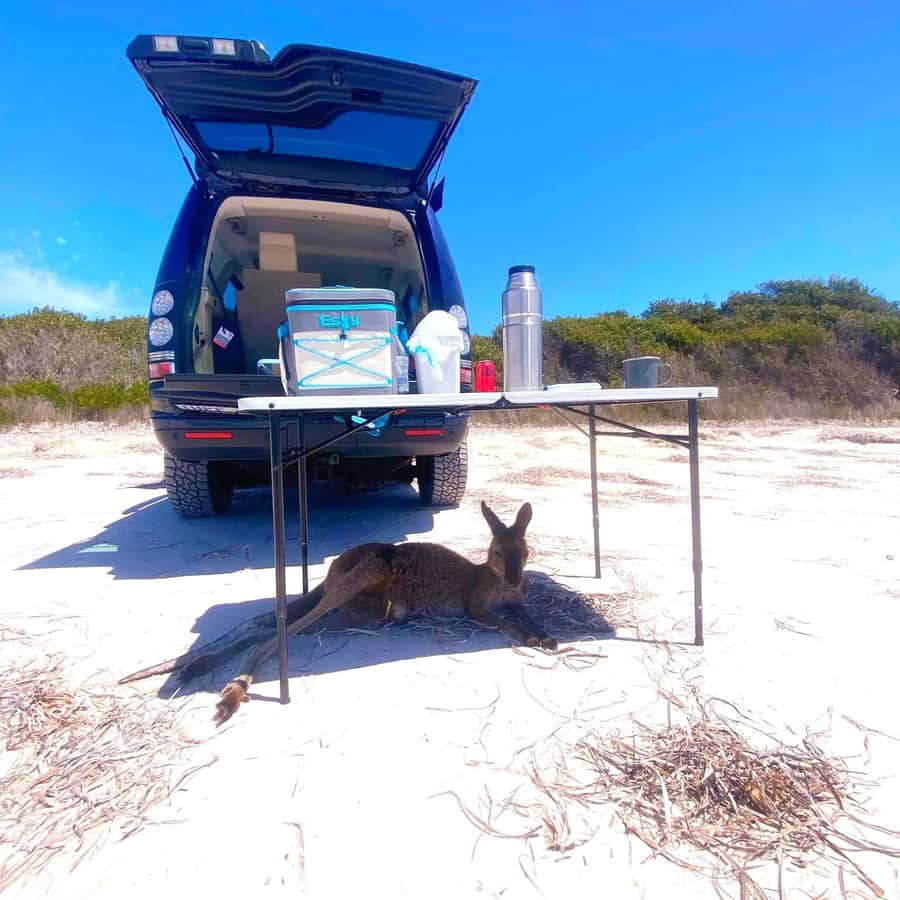 Esperance: Cape Le Grand National Park 4x4 Beach Adventure - Is $133 a fair price?