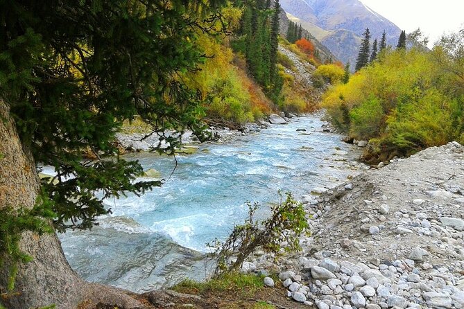 Essential Day Trip to Ala Archa National Park - Who should book this day trip?