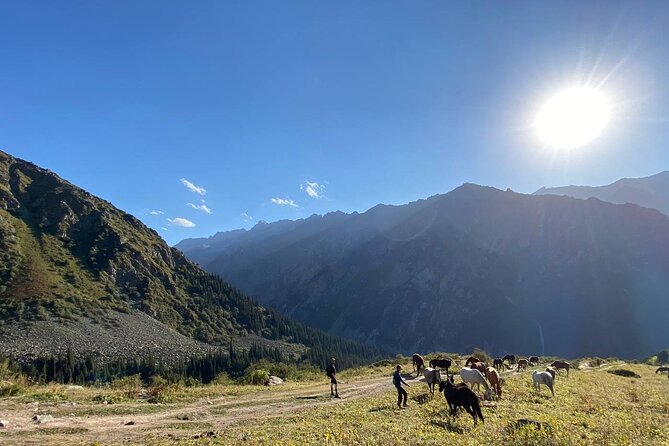 Essential Day Trip to Ala Archa National Park - The Ak-Sai waterfall option
