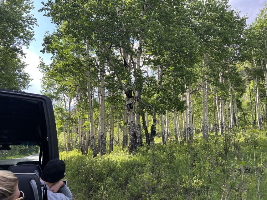 Estes Park: Rocky Mountain National Park Glass-Top Bus Tour - Snacks, drinks, and the comfort details