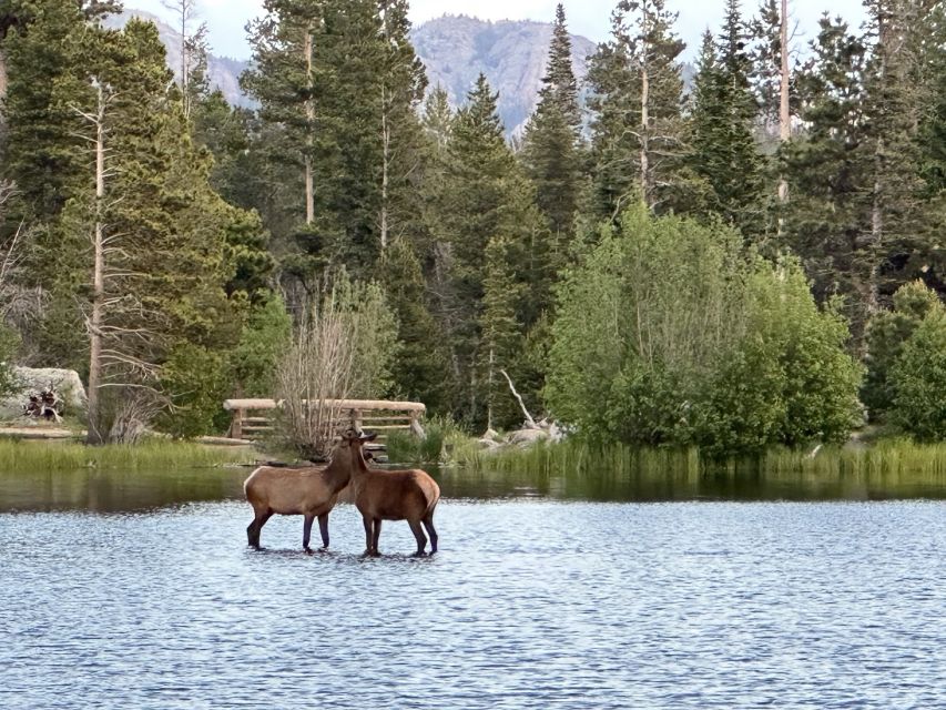 Estes Park: Rocky Mountain National Park Glass-Top Bus Tour - The guides are a major part of the value