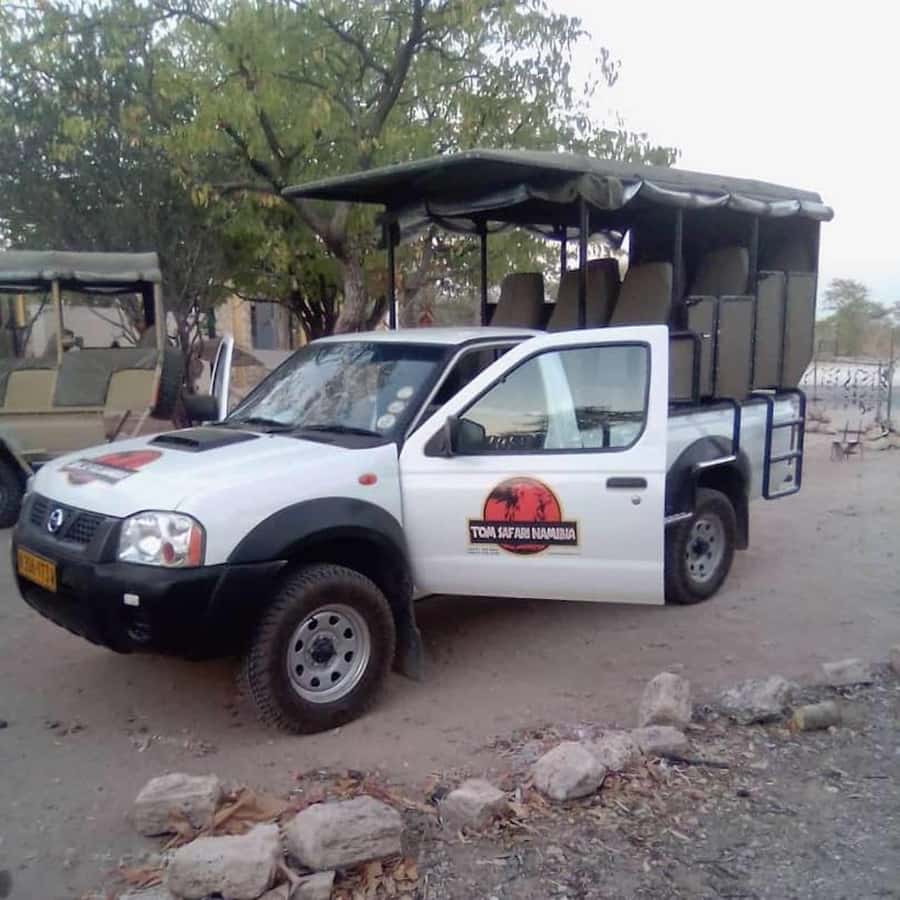 Etosha National Park: Full or Half-Day Game Drive - Key points to know before booking