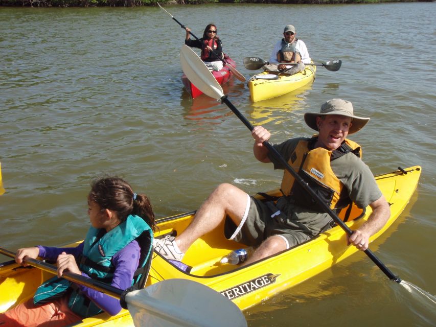Everglades National Park 3-Hour Kayak Eco Tour - Launching from Chokoloskee into the 10,000 Islands