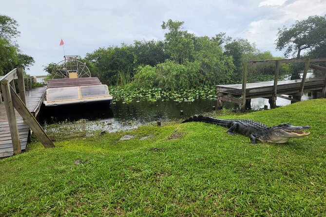 Everglades National Park Biologist Led Adventure: Cruise, Hike + Airboat - Cruising through the Ten Thousand Islands