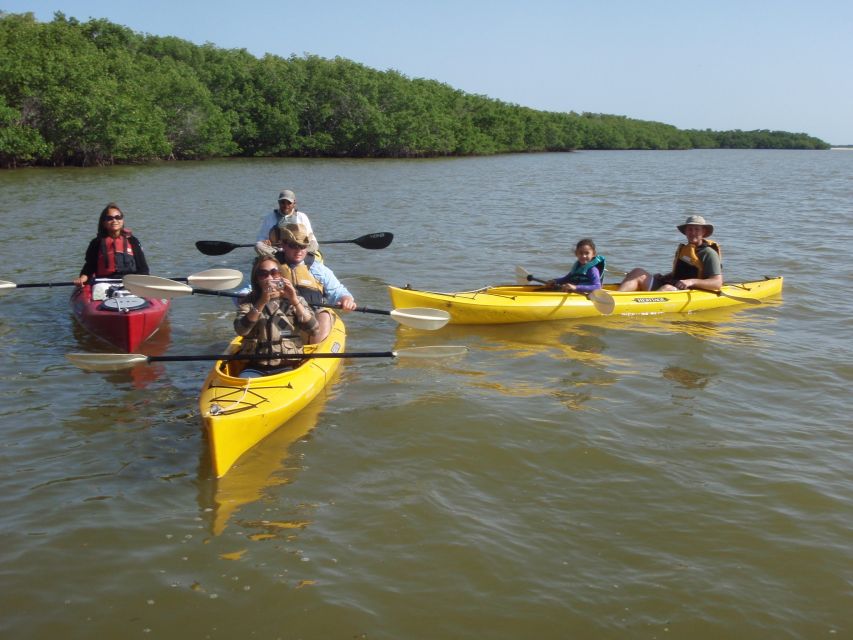 Everglades National Park: Boat Assisted Kayak Eco Tour - The walking section adds small details