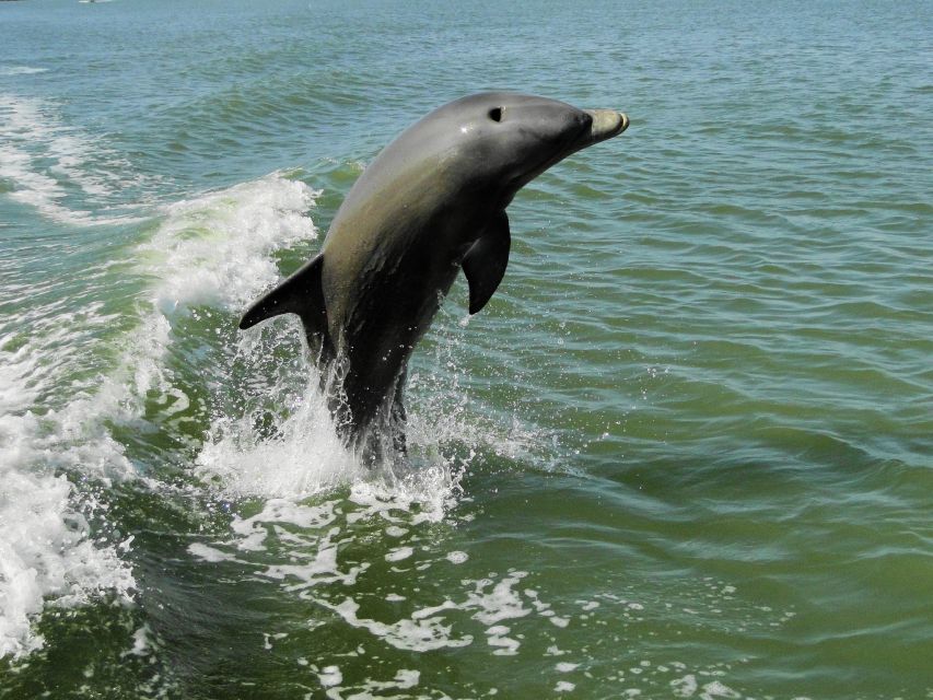 Everglades National Park: Boat Assisted Kayak Eco Tour - Is $173 a fair price?