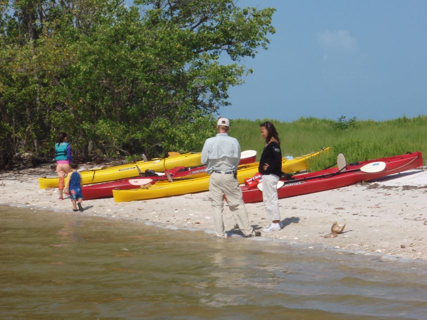 Everglades National Park: Boat Assisted Kayak Eco Tour - Starting at Chokoloskee Island